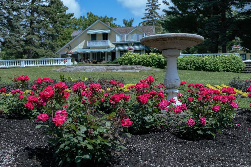 Front yard with red flowers and a bird bath with a  classic house in the background. A front yard with red flowers and a bird bath with a  classic house in the royalty free stock images